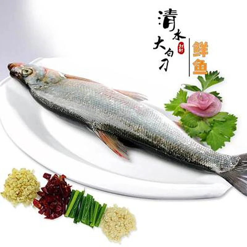 湖北十堰翘嘴鱼生态鱼直播间