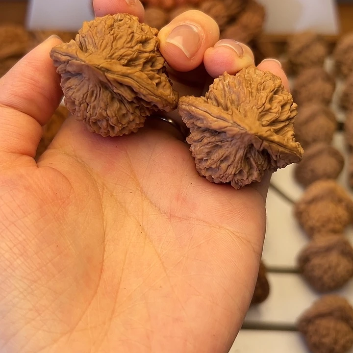 秦岭山脉的形成核桃