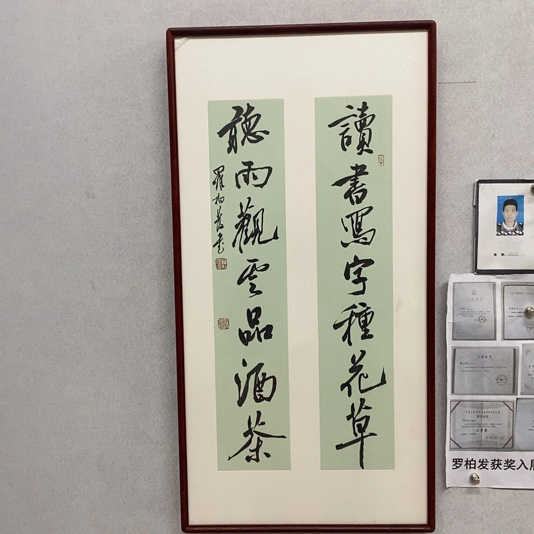 书法罗柏发书法读书