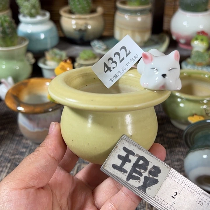 口5 手工花盆满30包邮