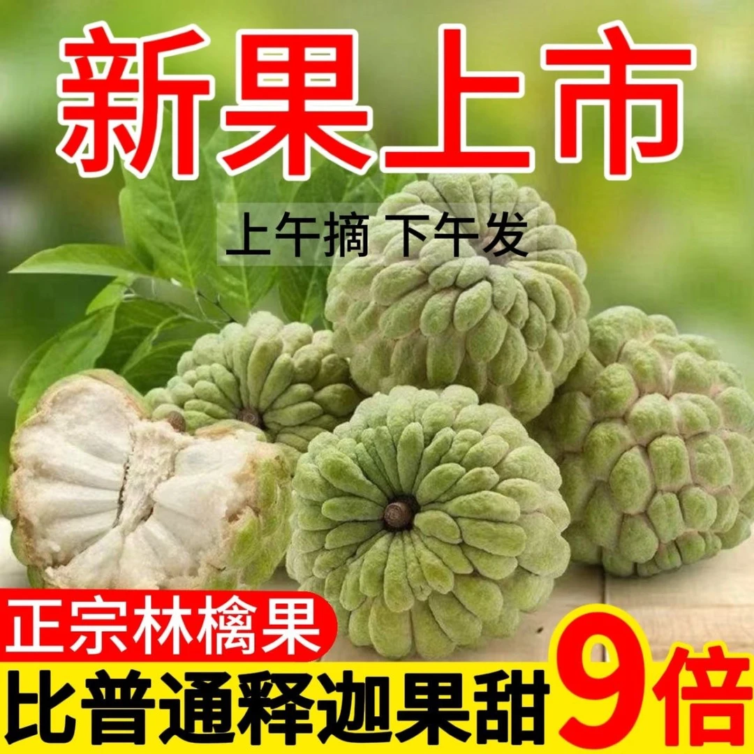 潮汕新鲜樟林林檎果果番荔枝鲜甜可口1-4斤林檎果潮汕
