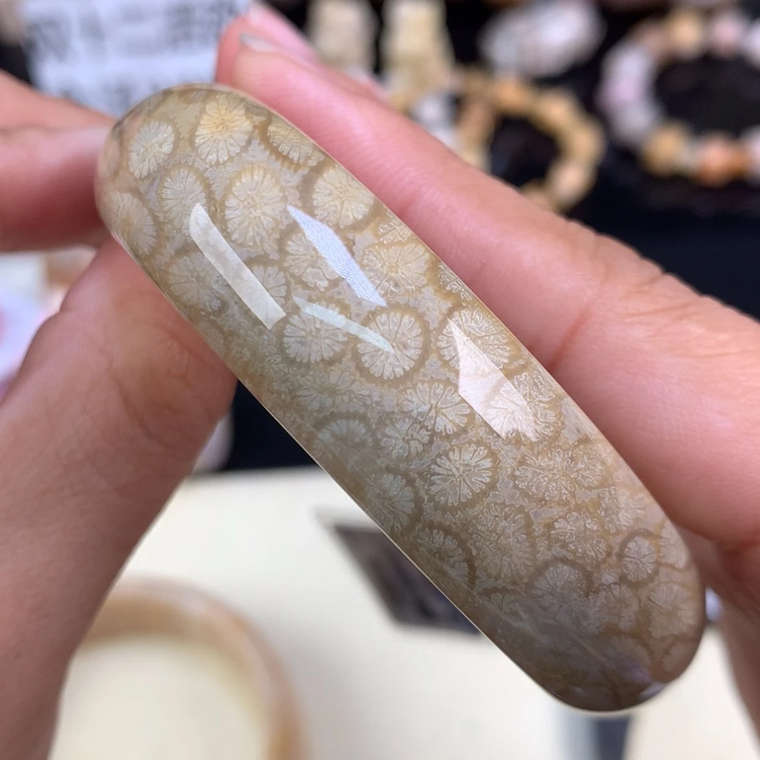 【闪购商品】颈饰未镶嵌硅化珊瑚（珊瑚玉）58号双面56.6圈