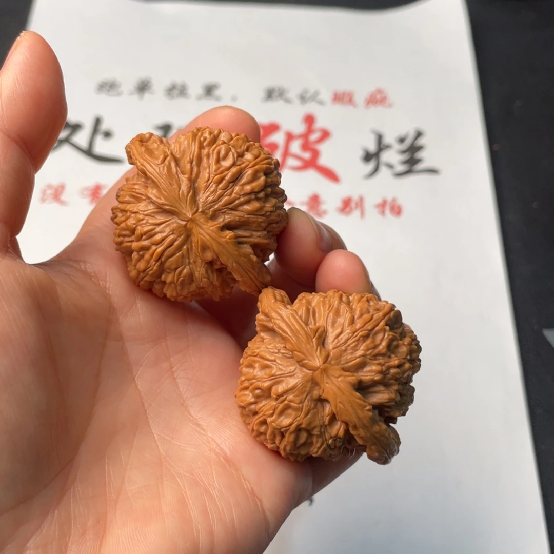 把件文玩核桃345。45白狮子