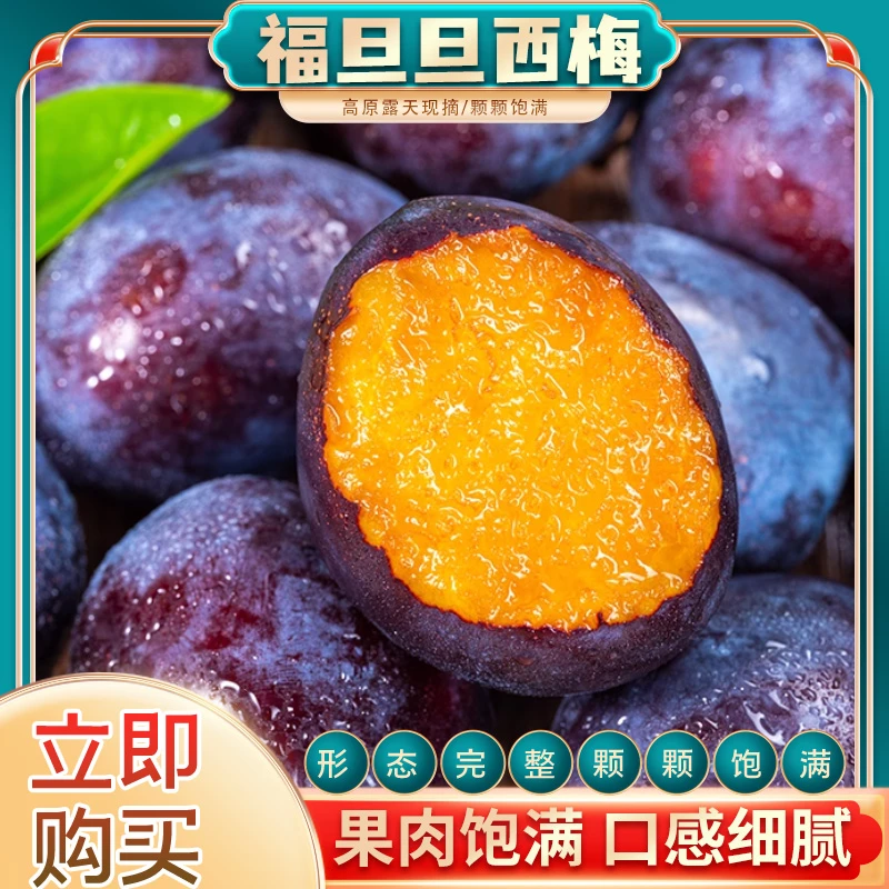 甘肃张掖福旦旦西梅果肉饱满口感细腻当季水果整箱包邮孕妇宝宝