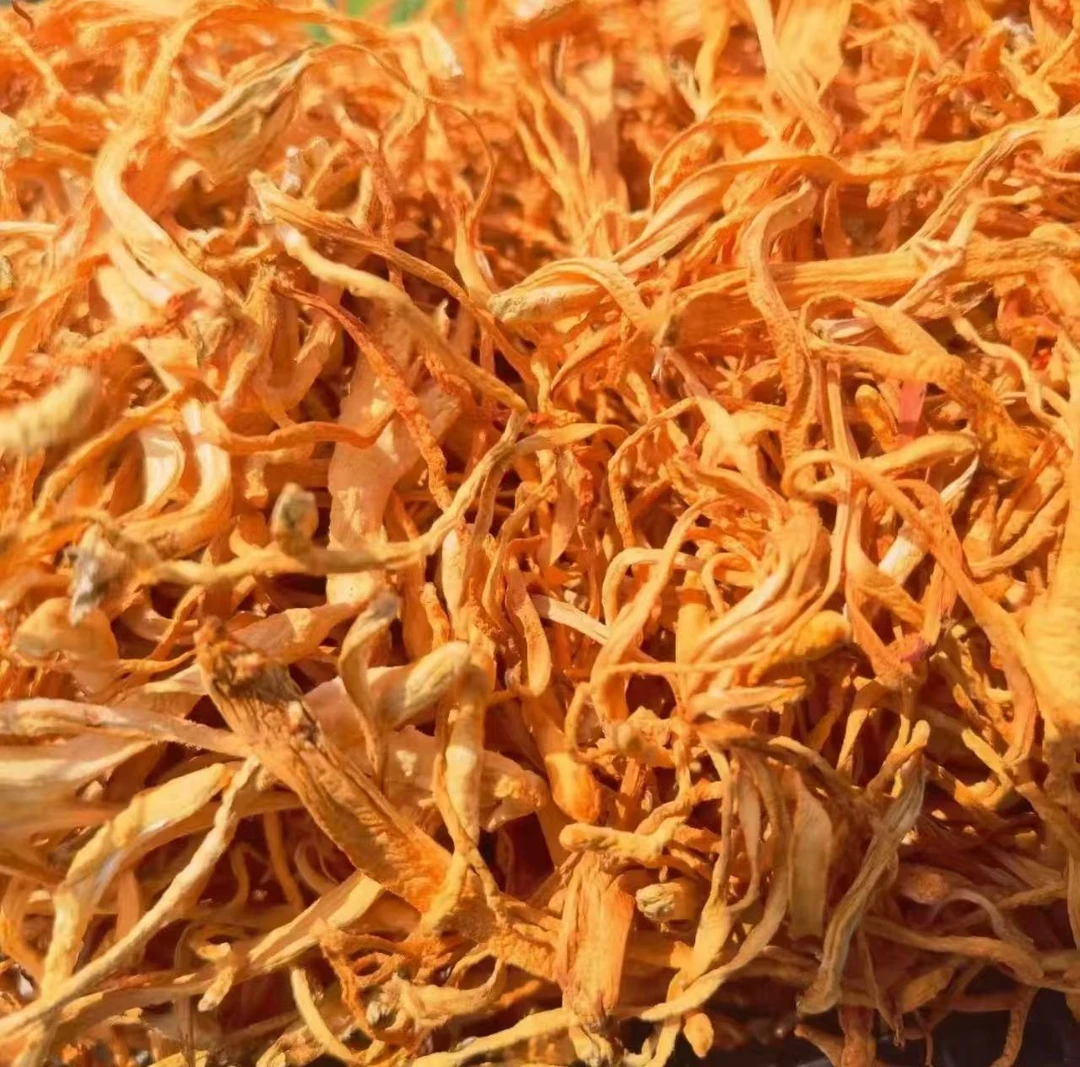 【拍五发六】正宗虫草花新鲜干货农家特产煲汤食材