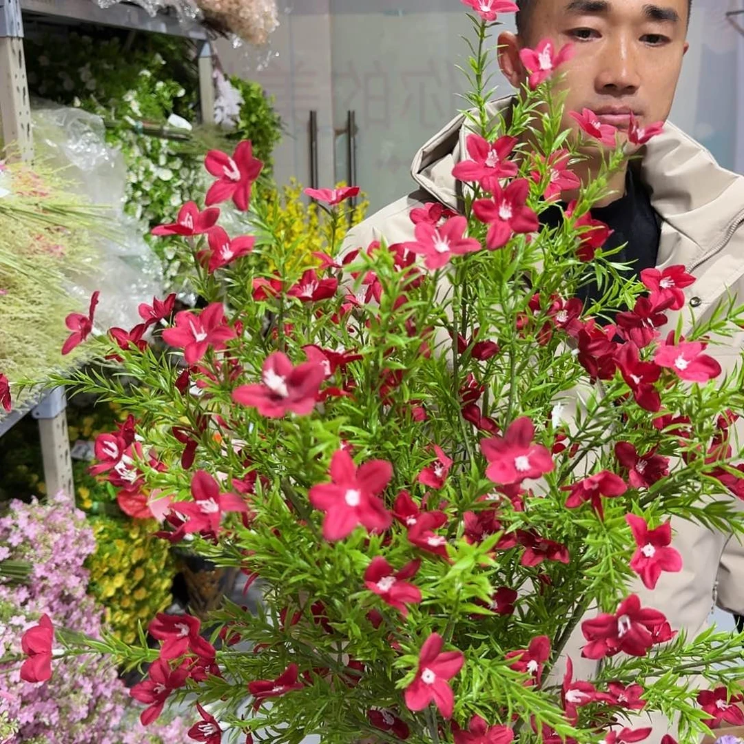 465号红色星星草10支