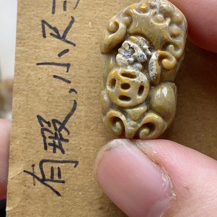 颈饰未镶嵌硅化珊瑚（珊瑚玉）