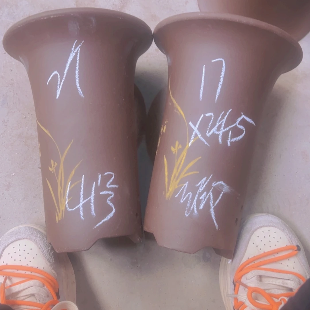 紫砂41……………………………………