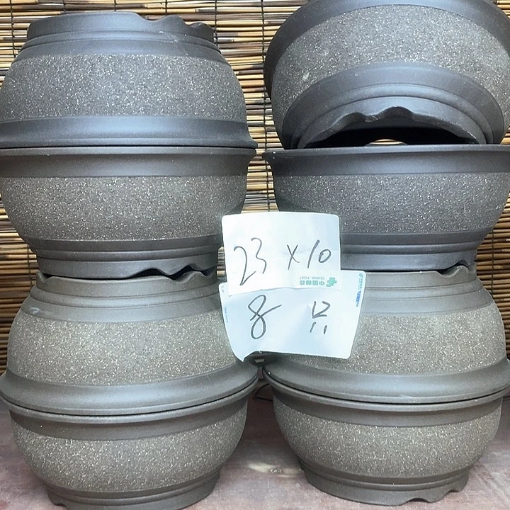 紫砂花盆我在外面