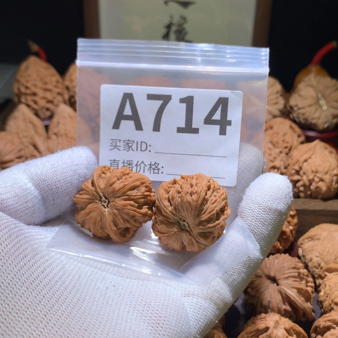 核桃龙珠，磕件瑕疵处理，打底影响二次销售，不退不换