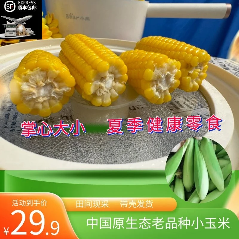 [顺丰冷运]老品种当天现采新鲜带壳黄斤小玉米