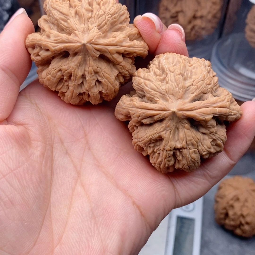 核桃手串/手链粗筋49全品