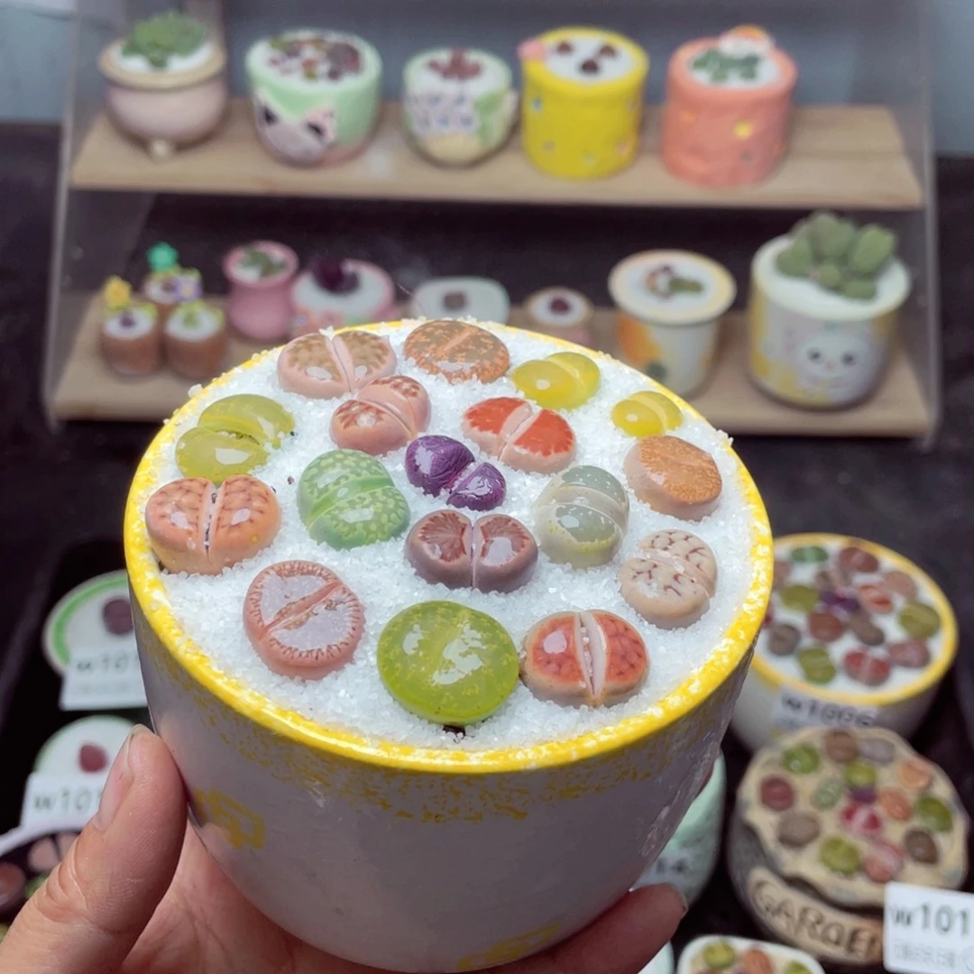 w1023 带盆土发货-零下地区拍保温箱