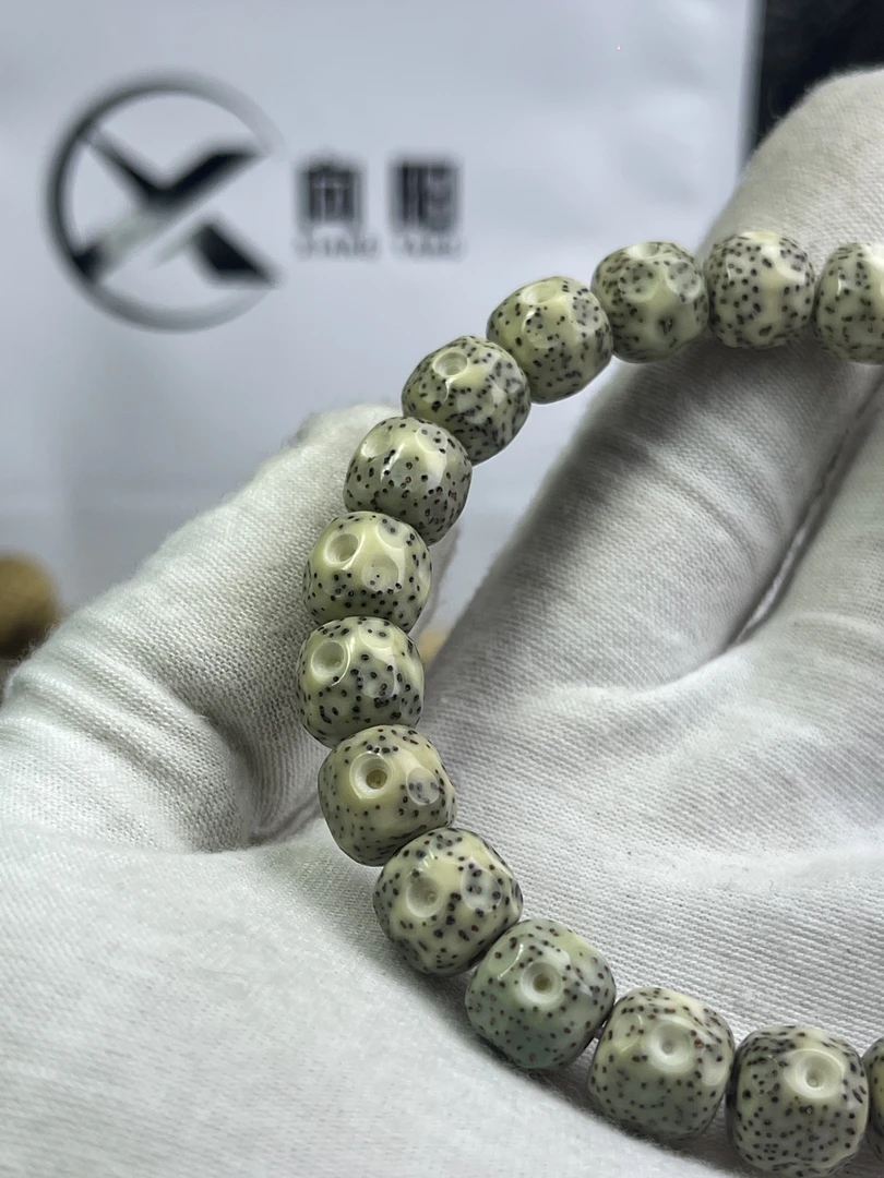 星月菩提10-9天目无相 同树籽