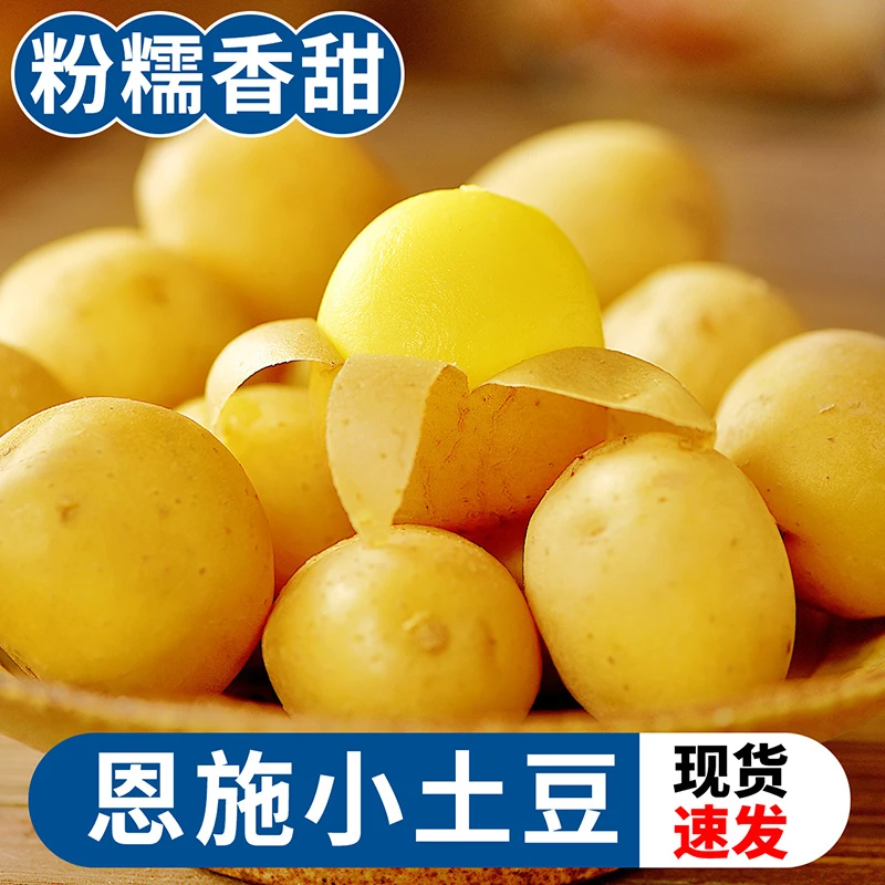 正宗恩施黄心小土豆新鲜现挖当季蔬菜整箱粉糯香甜迷你马铃薯洋芋