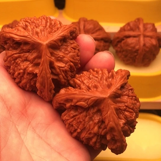 牧***人核桃核桃核桃核桃核桃