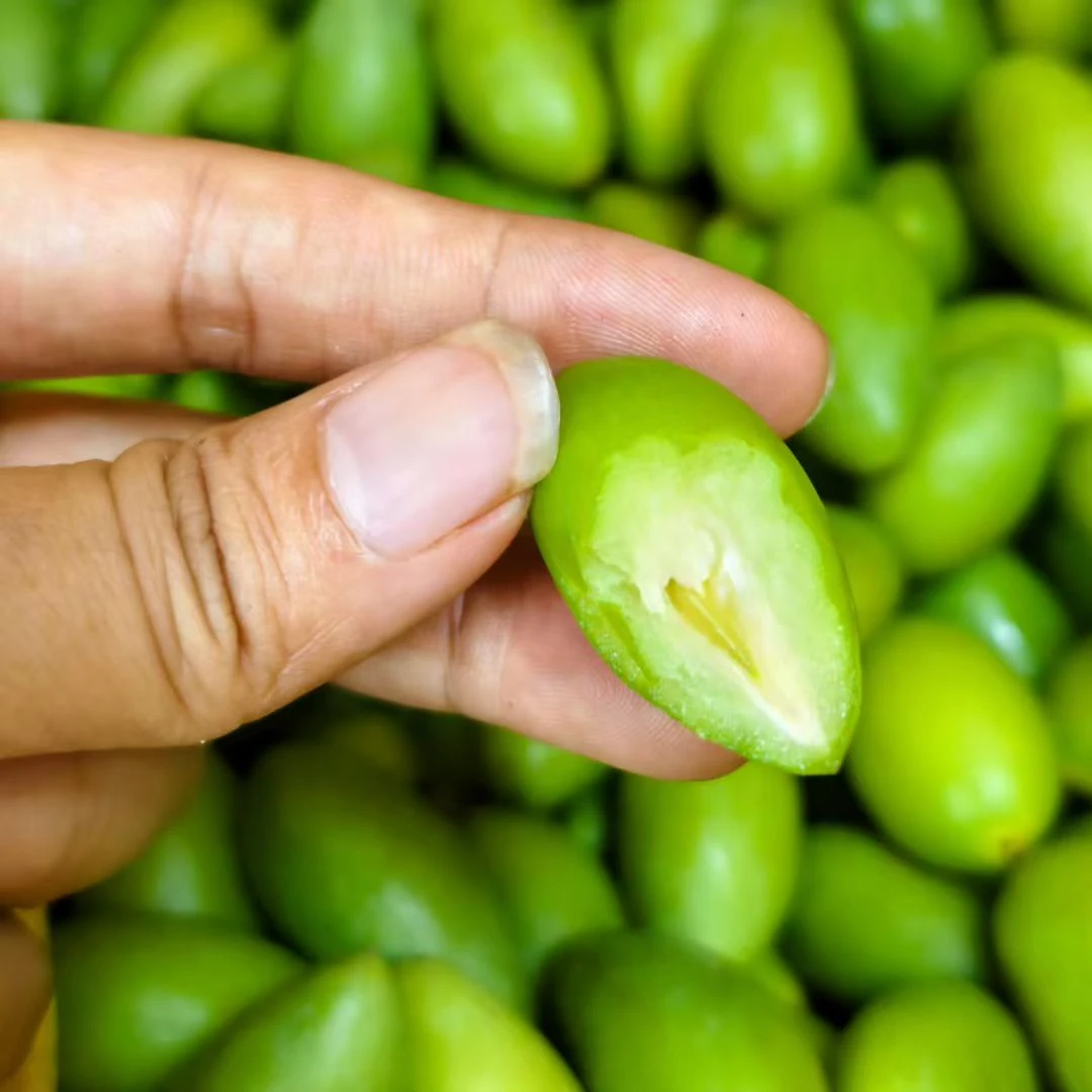 潮汕特产新鲜现摘青橄榄孕妇水果煲汤榨汁等