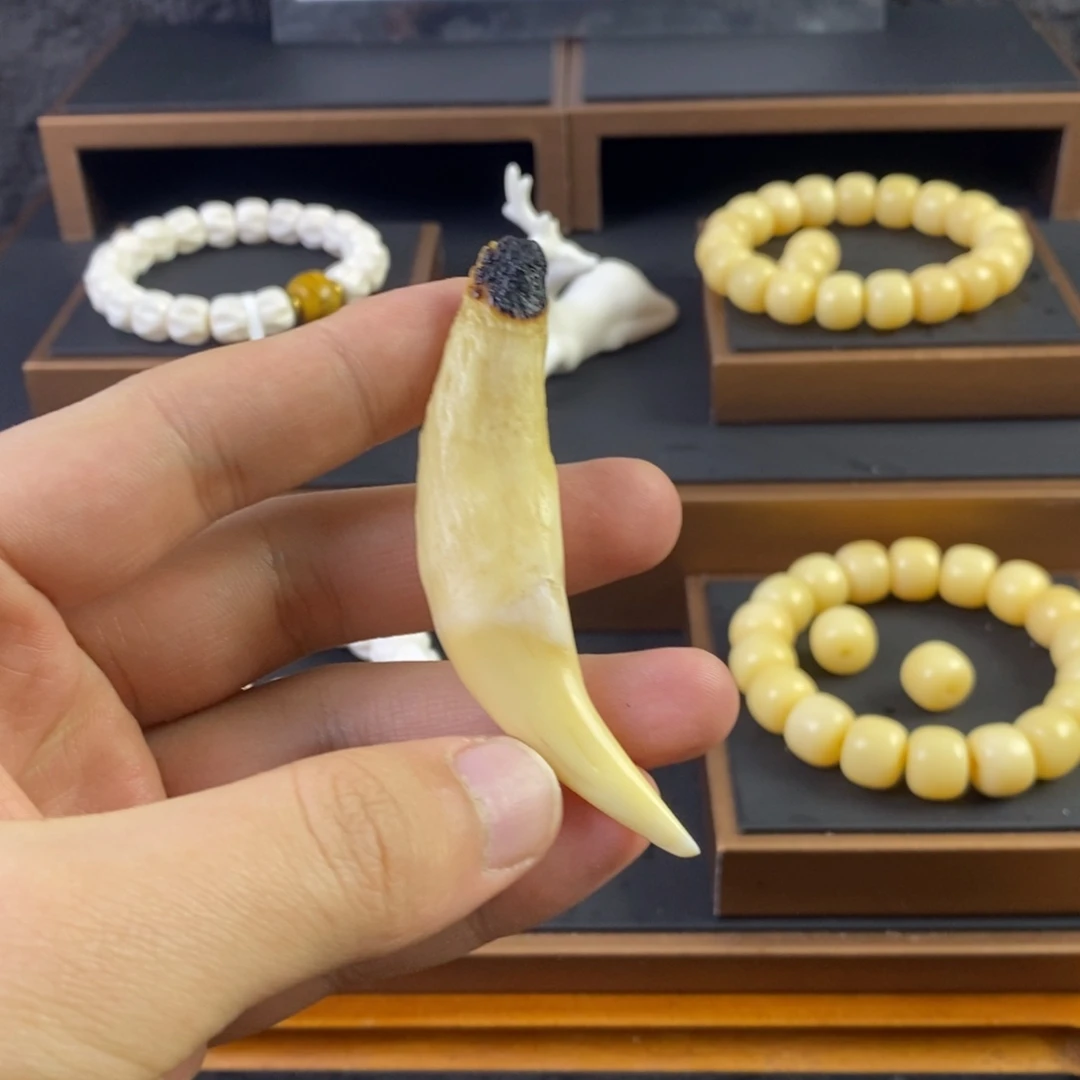 骆驼牙手串/手链把件