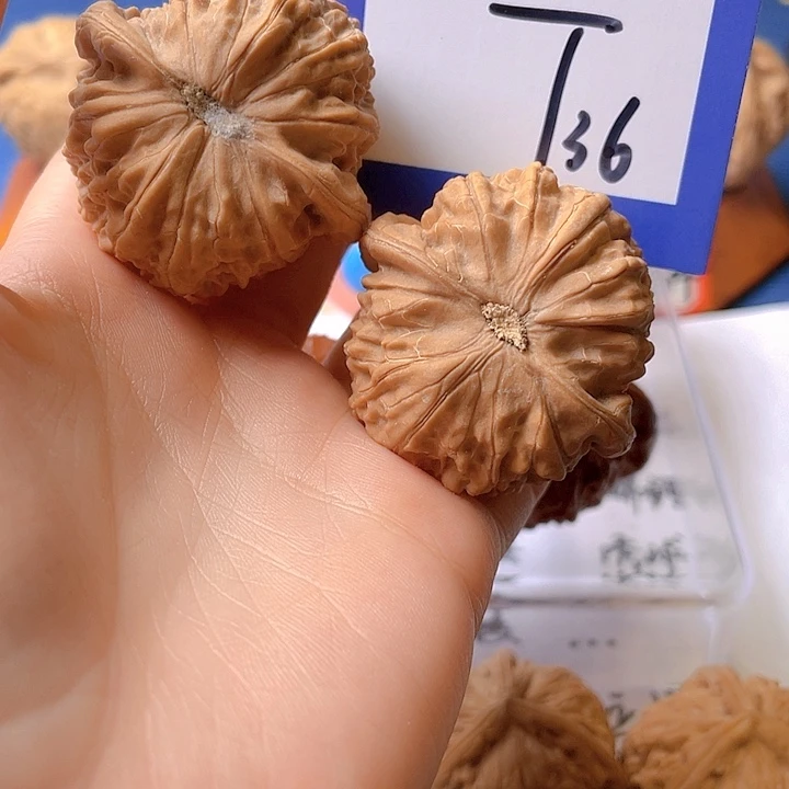 文玩核桃把件核*迷文玩核桃36