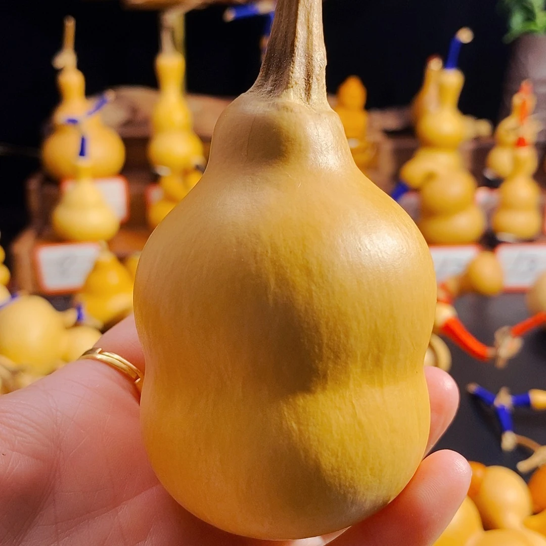 浮**粟葫芦葫芦葫芦葫芦