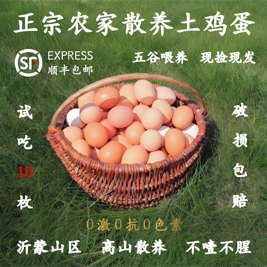 【50枚土鸡蛋 】沂蒙山农家散养土鸡蛋 天然养殖 现捡现发