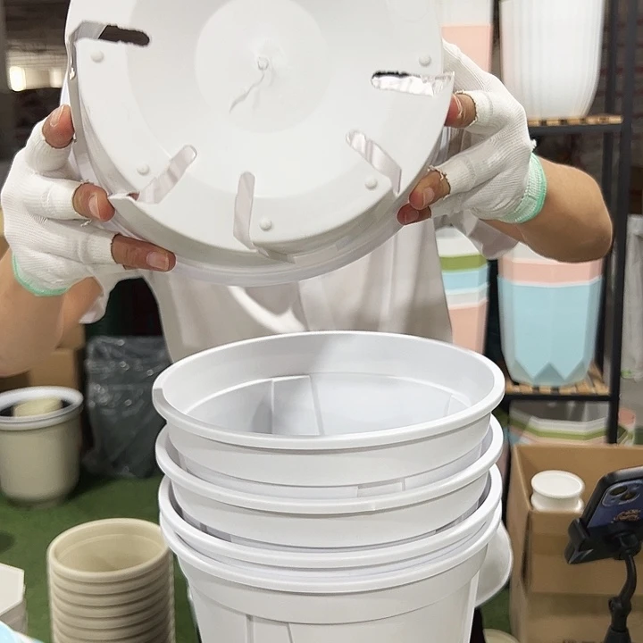 青山口24高24白色带托5只