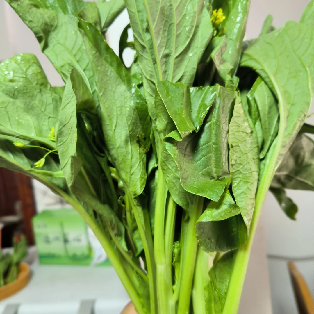 广东：清远连州农家2号菜心