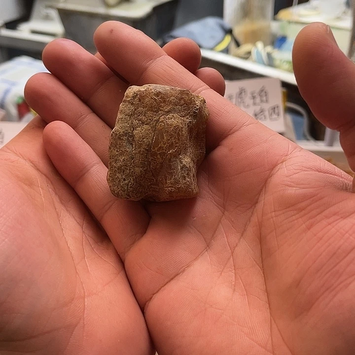 枯***木定制琥珀未镶嵌天然琥珀蜜蜡