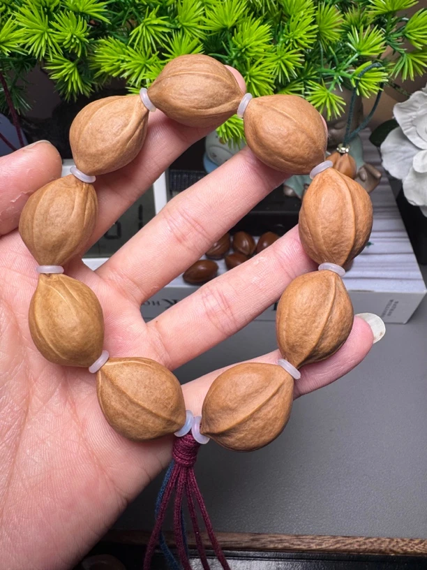 1.9✖️2.7放漏梅林铁核手串