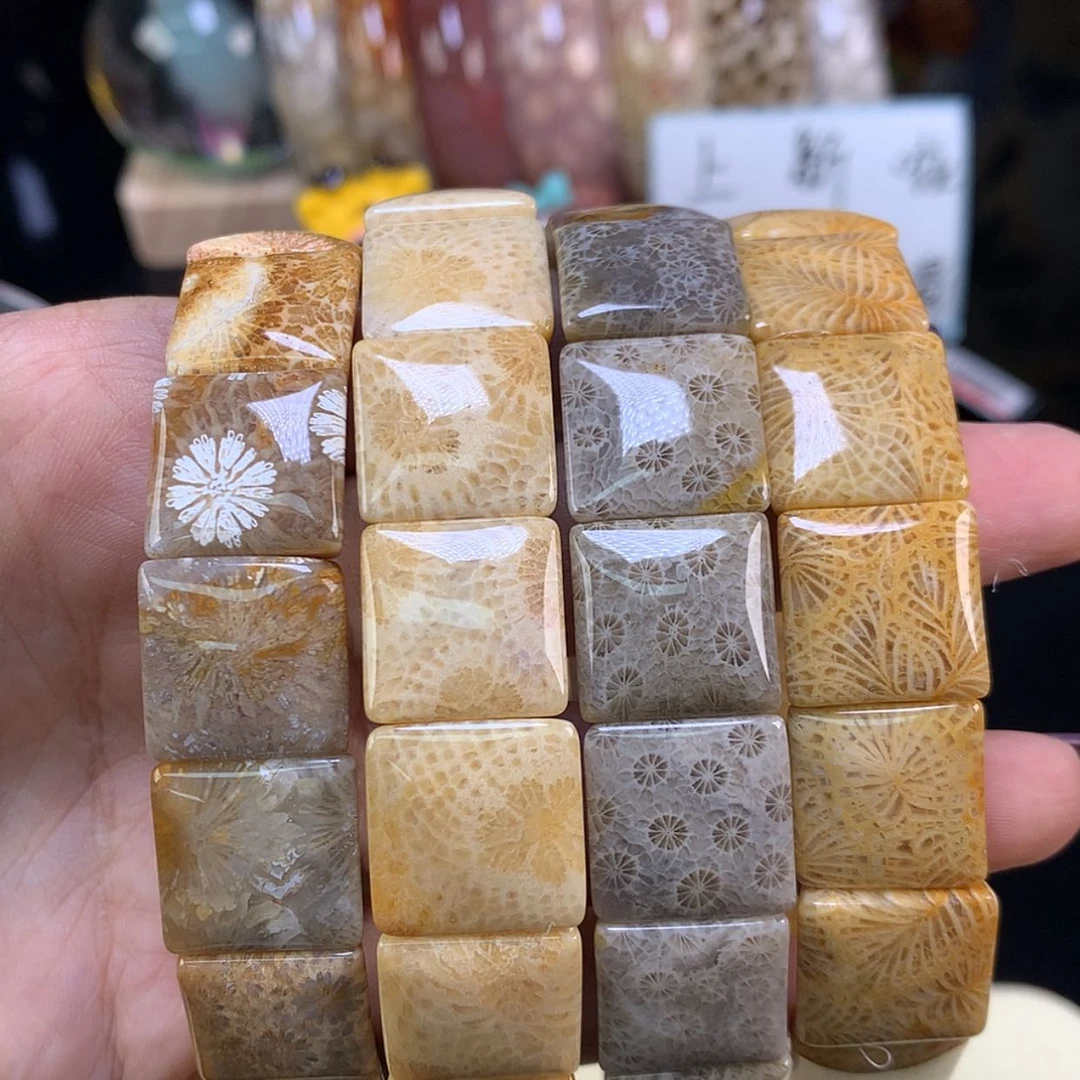 【闪购商品】颈饰未镶嵌硅化珊瑚（珊瑚玉）88漏68一条可挑（59号）