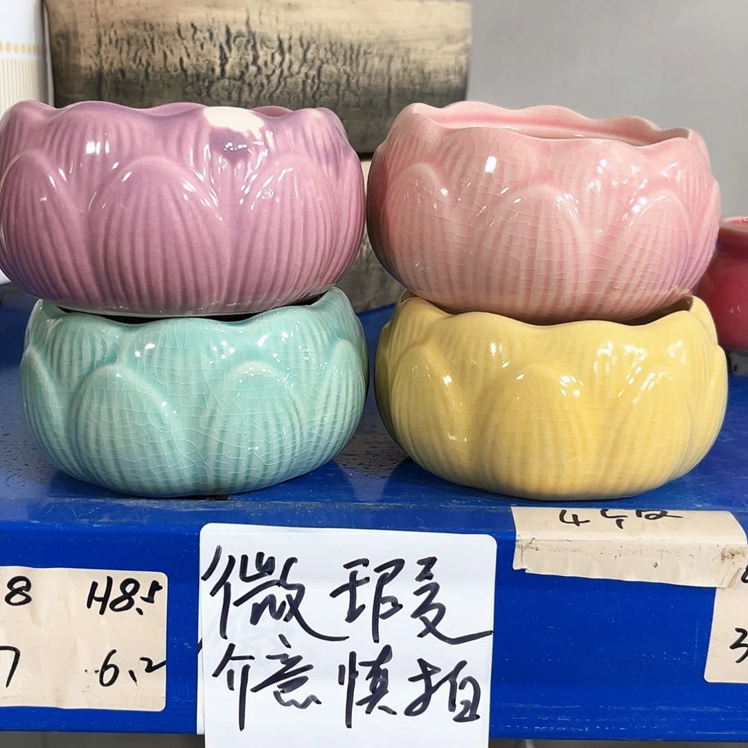 花盆花盆花盆花盆花盆花盆花盆