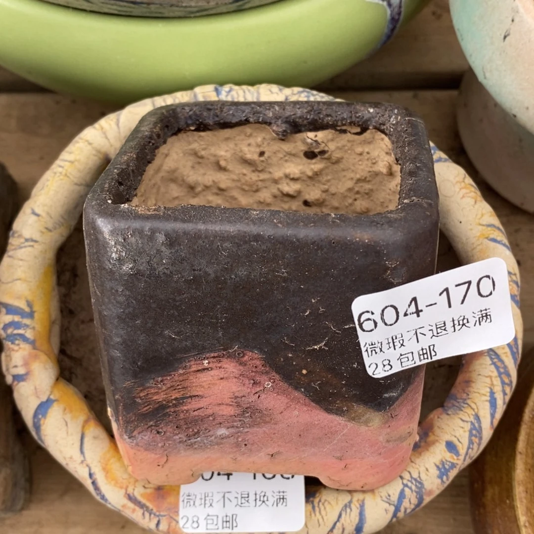 170号多肉盆口径6