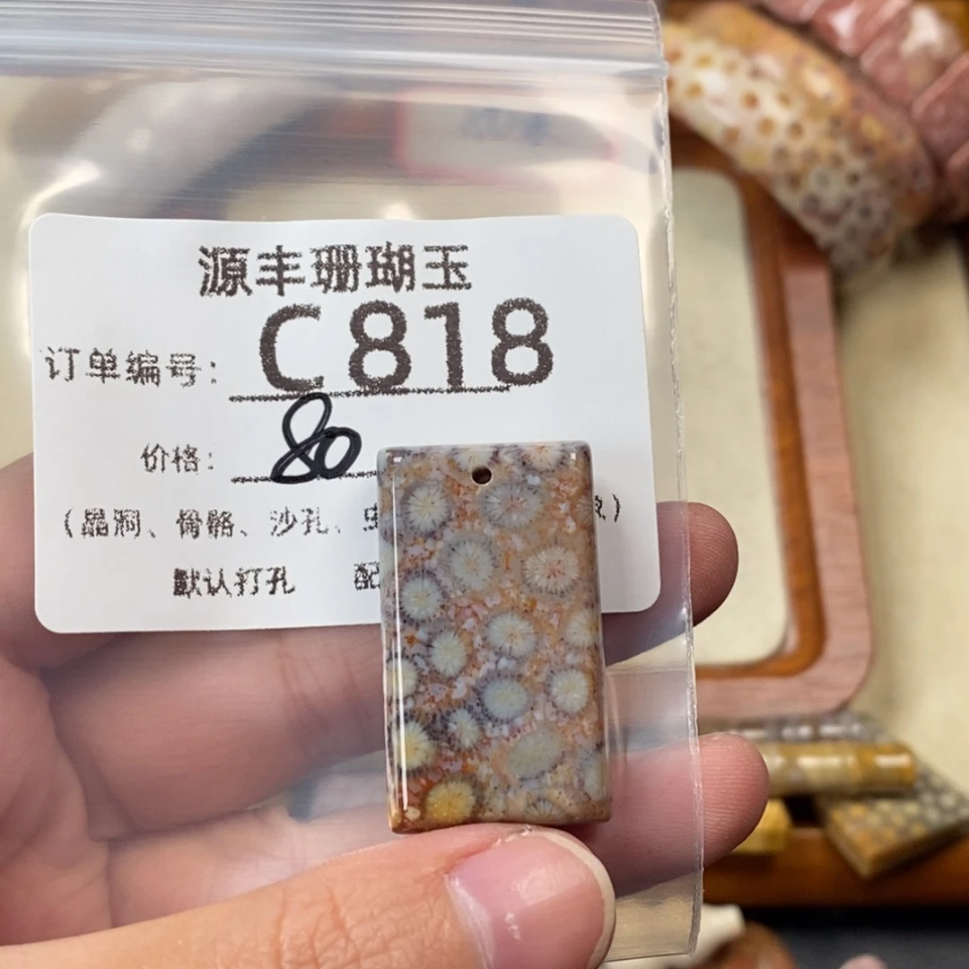 猫***鱼硅化玉未镶嵌颈饰