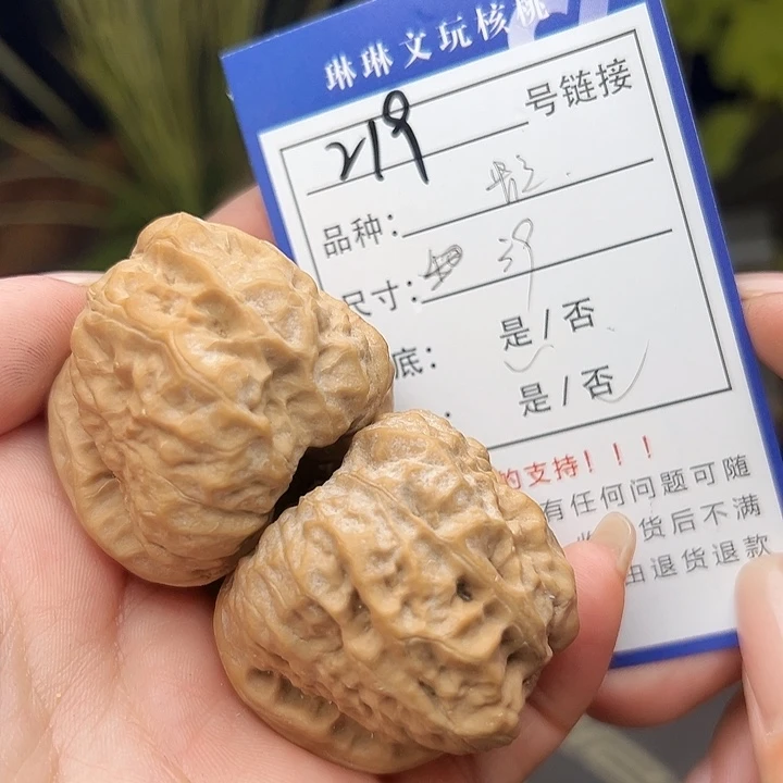 文玩核桃吊坠核桃树219