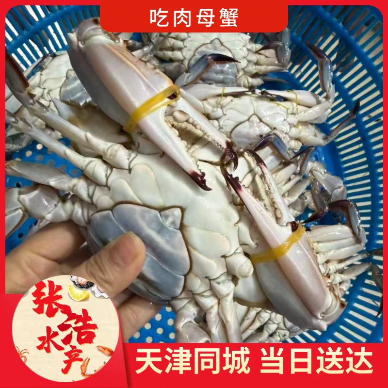 【保鲜不保活】精品肉母蟹（不带黄） 每斤2-5只单只2-5两同城当日达