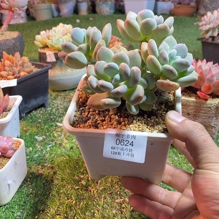 0624啊啊啊啊啊啊啊啊啊啊啊啊啊啊