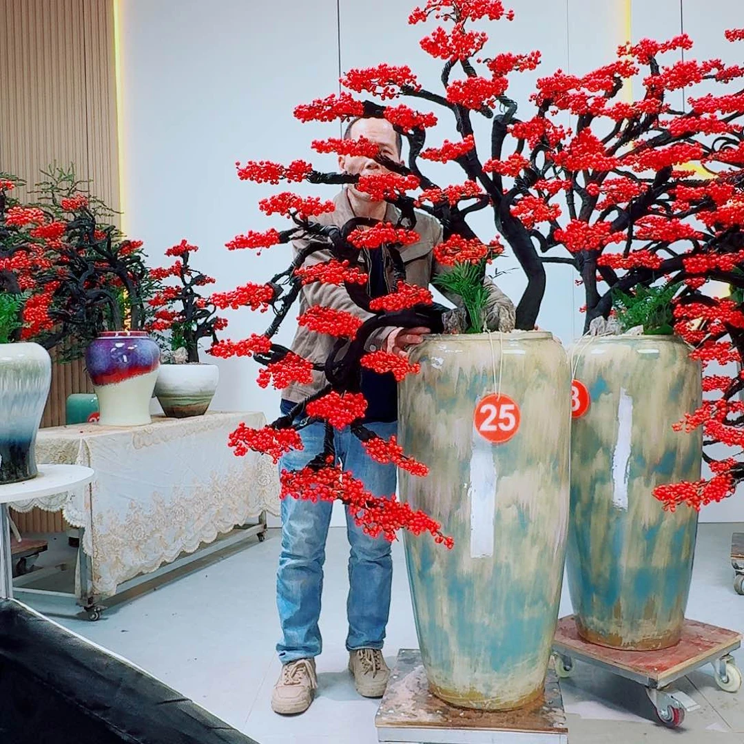 ω***༅完全开放北美冬青8888888888