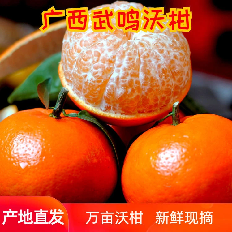 【帅果自营-武鸣沃柑】正宗武鸣沃柑5/8斤新鲜应季柑橘