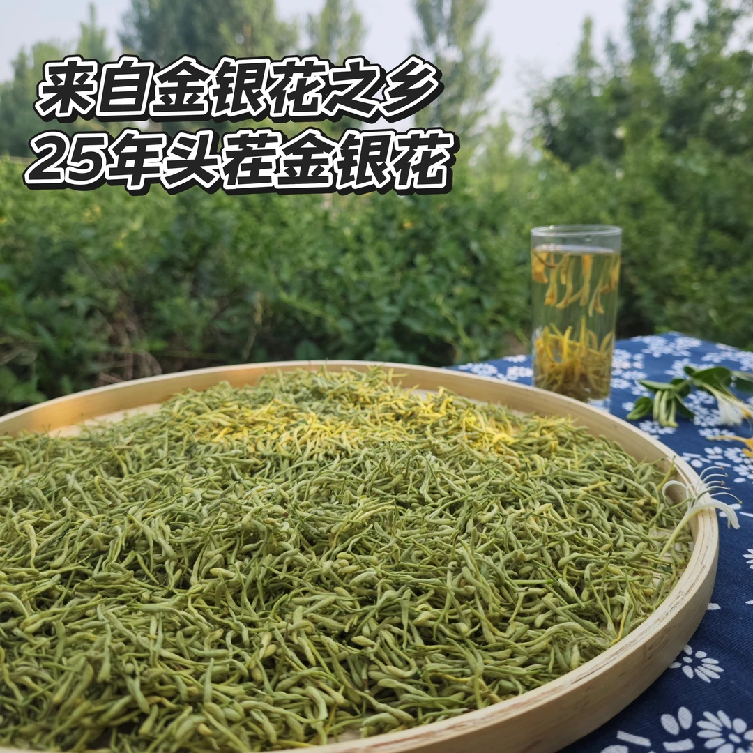 山东平邑25年头茬金银花茶泡水专用带绒毛