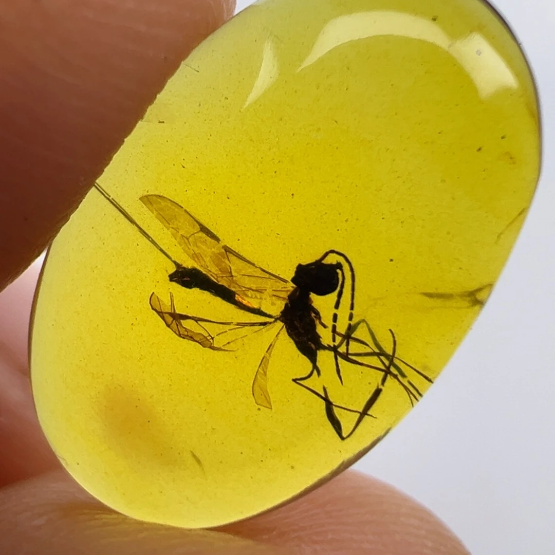 琥珀未镶嵌裸石琥珀虫珀