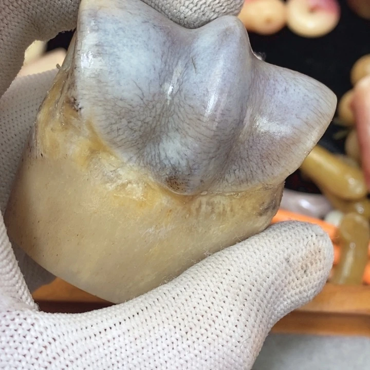 驼骨手串/手链元宝头