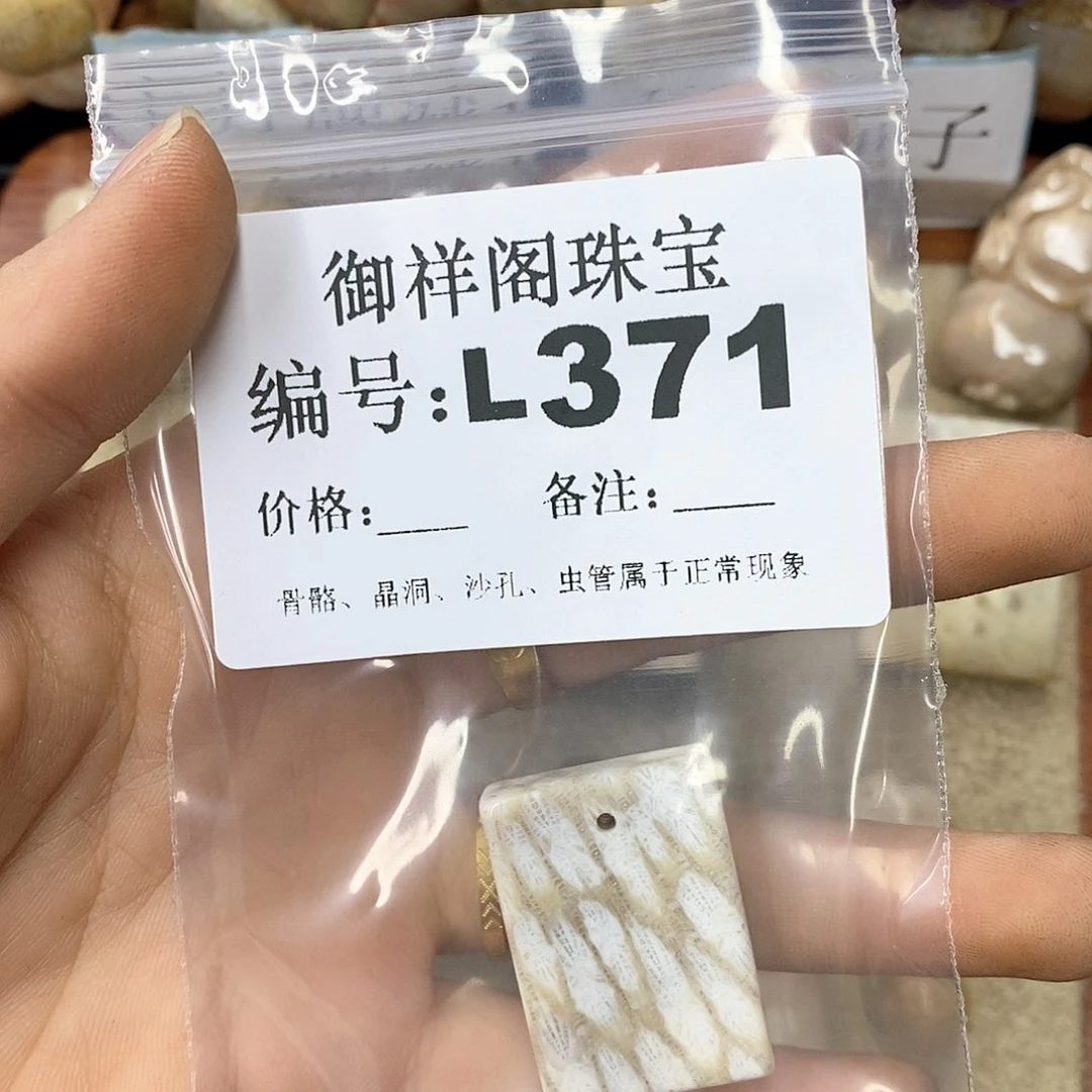 硅化珊瑚（珊瑚玉）n未镶嵌珍**康