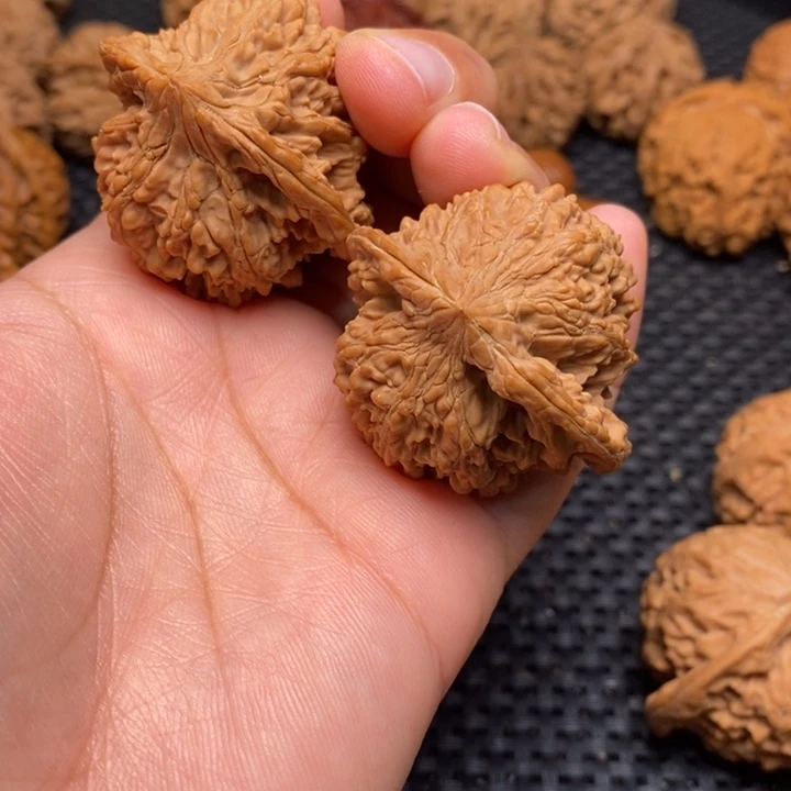 秦岭野生00000000047