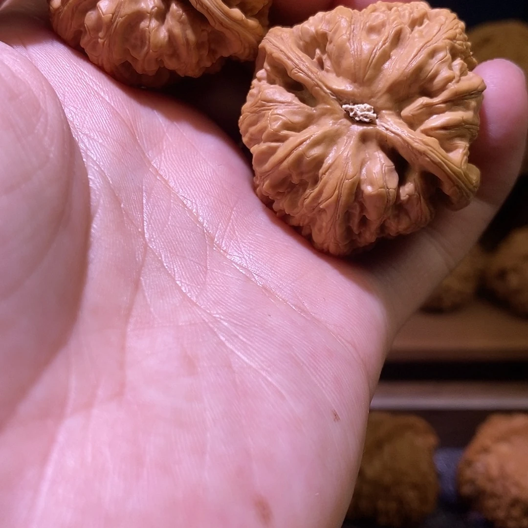 文玩核桃把件3粗筋