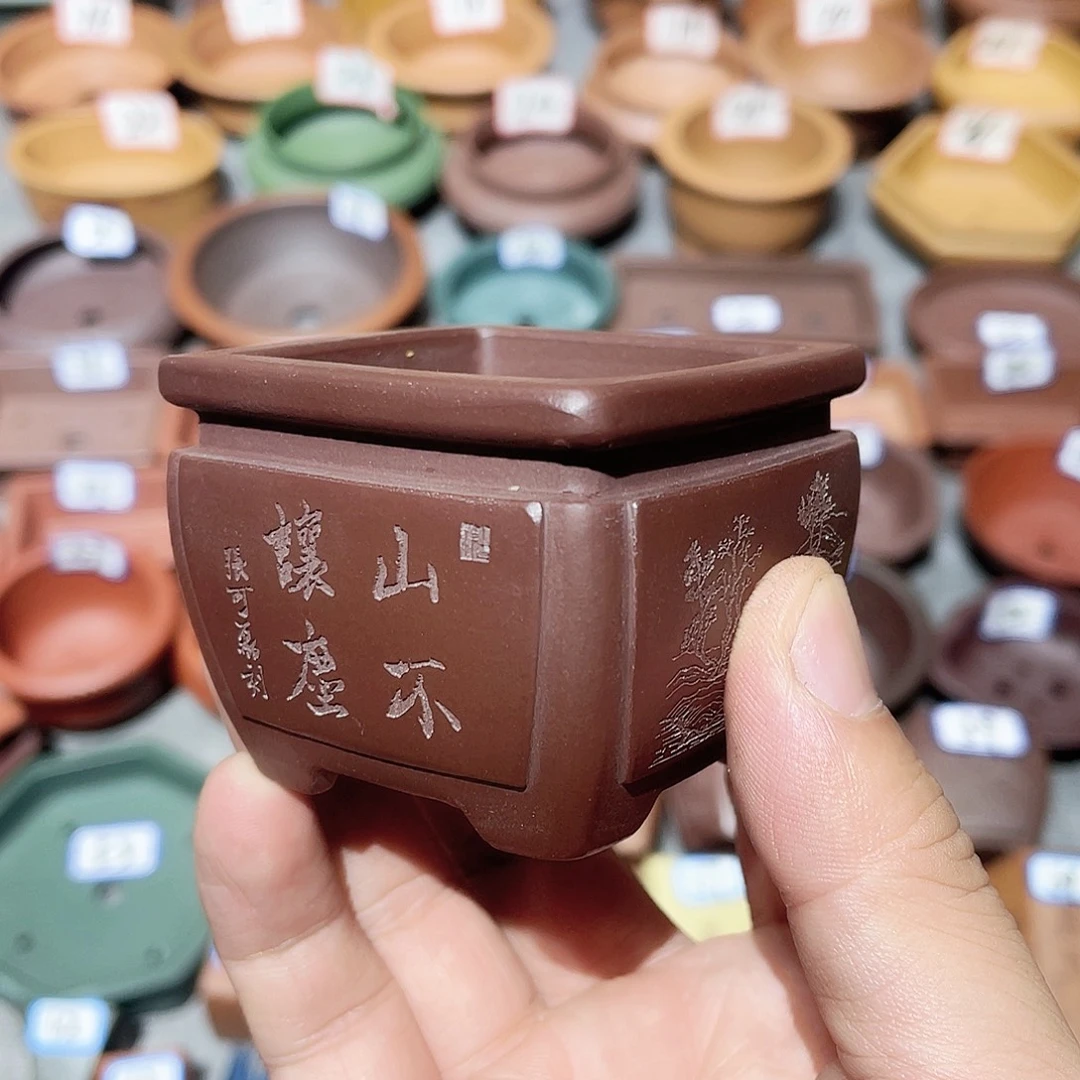 紫砂小盆5*4cmmmmm