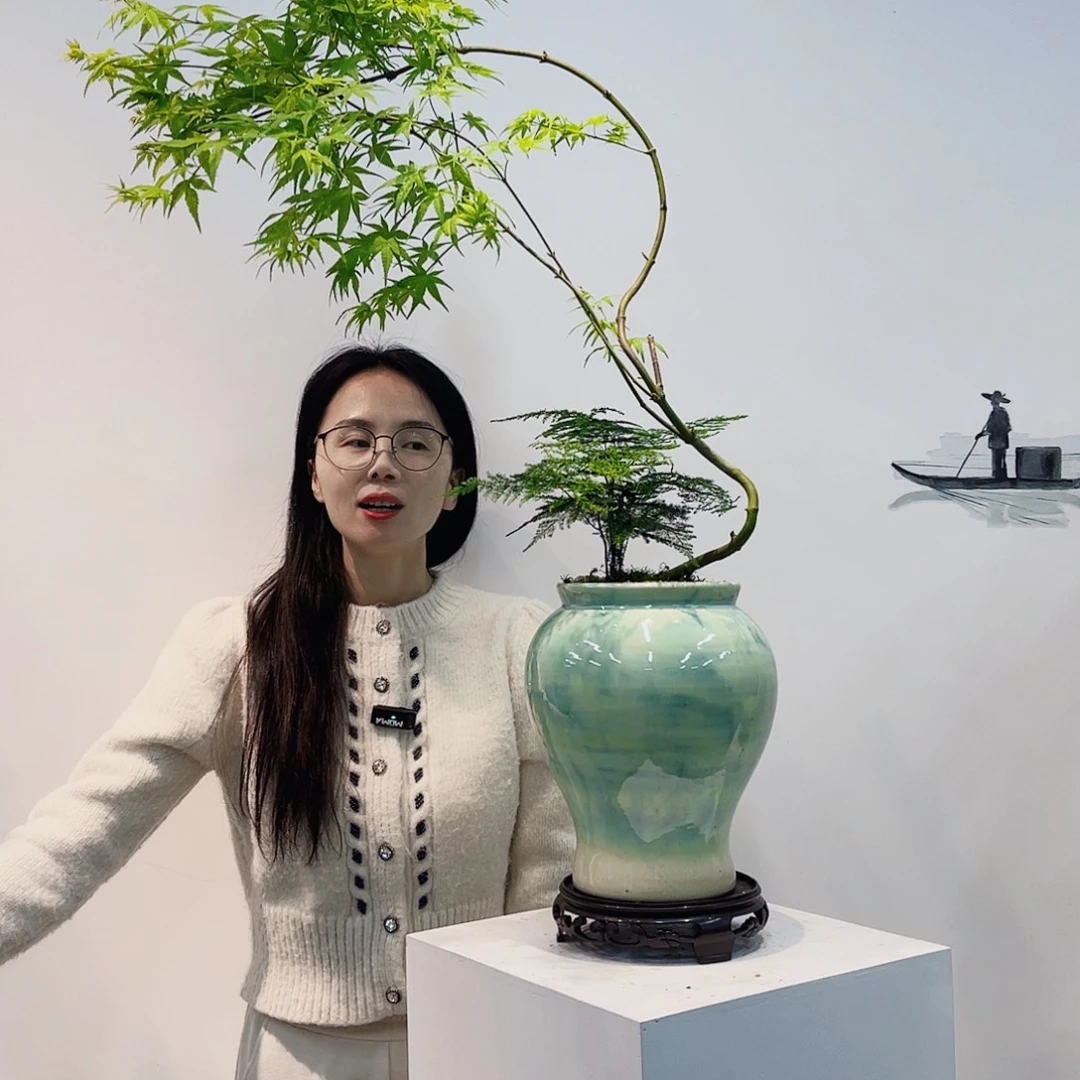 高端绿植一物一拍