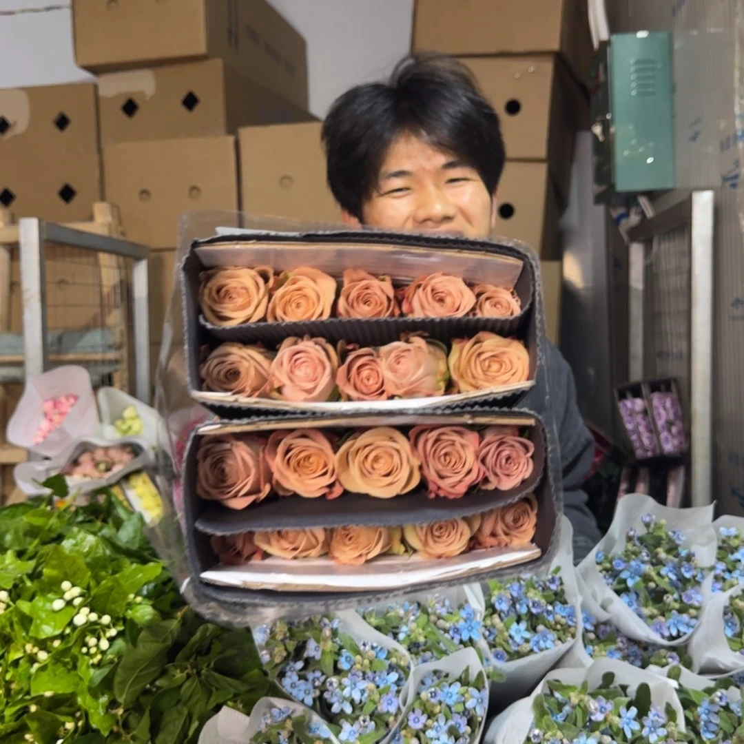 卡布2扎。