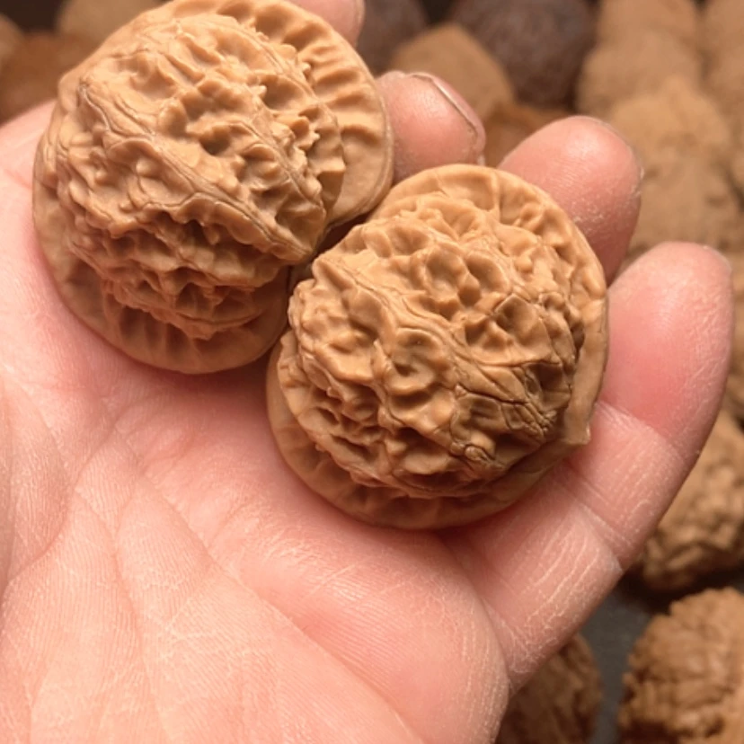 【闪购商品】湖*宫灯狮