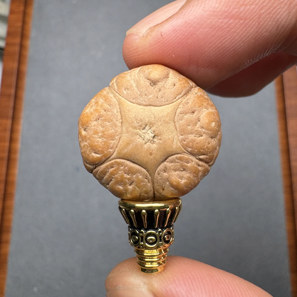 精品22+恶魔五星上将菩提凤眼菩提三通佛头,非质量问题开孔不退