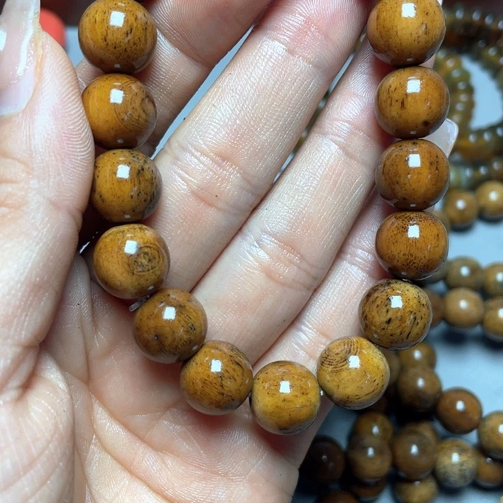 大果紫檀（缅甸花梨）